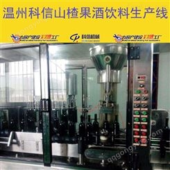 成套山楂果酒饮料生产线设备厂家温州科信