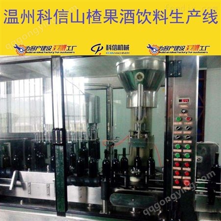 成套山楂果酒饮料生产线设备厂家温州科信